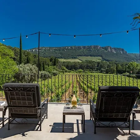 Villa Propriete Avec Piscine Au Coeur Des Vignes De