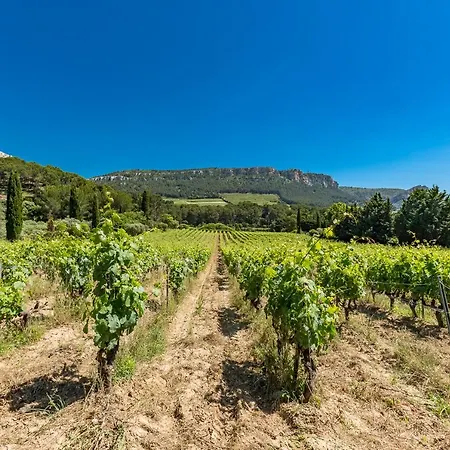 Villa Propriété Avec Piscine Au Coeur Des Vignes De