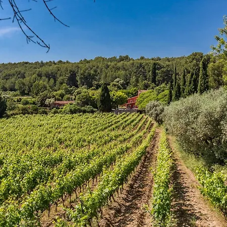 Villa Propriété Avec Piscine Au Coeur Des Vignes De